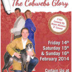 2014-The-Cobweb's-Glory-poster